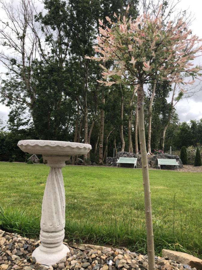 Villa Tir Na Spideoga Ennis Esterno foto