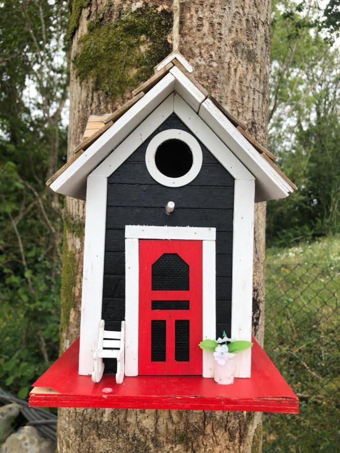 Villa Tir Na Spideoga Ennis Esterno foto